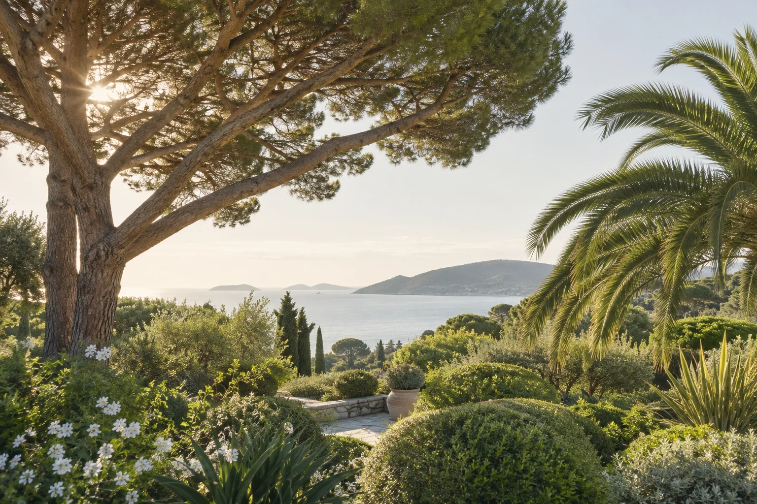 Illustration d’ambiance : sous les pins en Provence